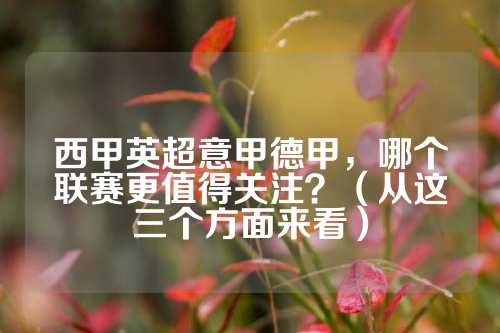 总决赛的常