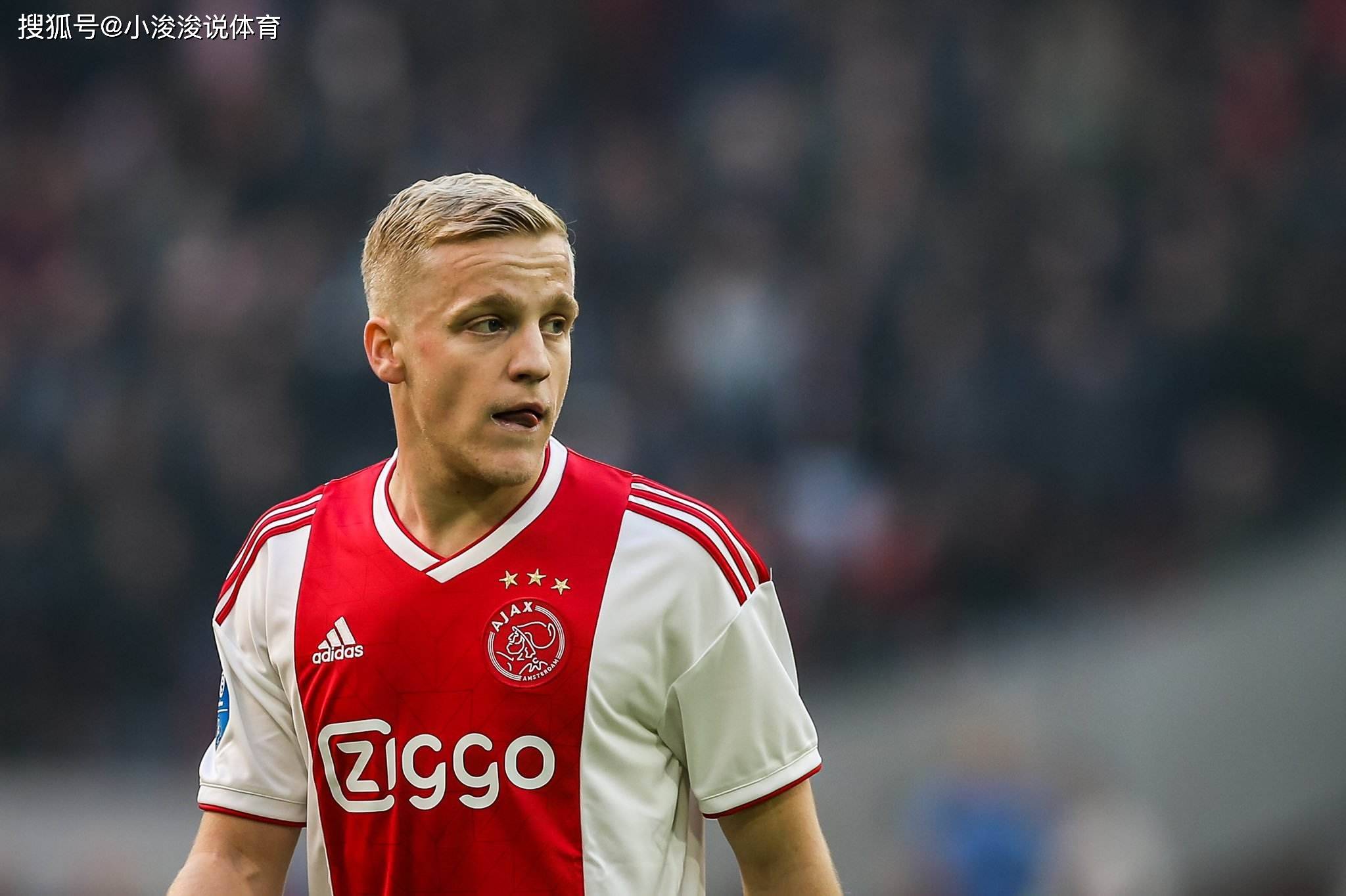 在本届欧锦 在本届欧锦