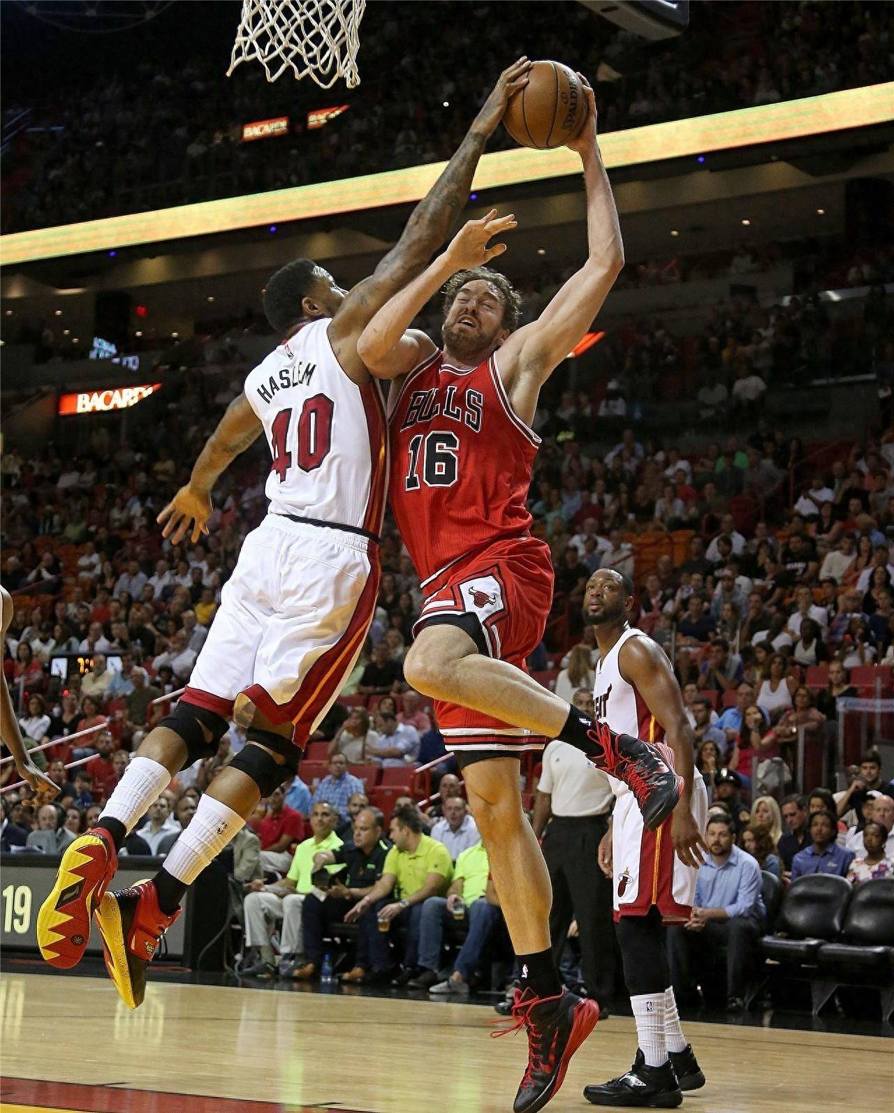 的门将转会 的门将转会