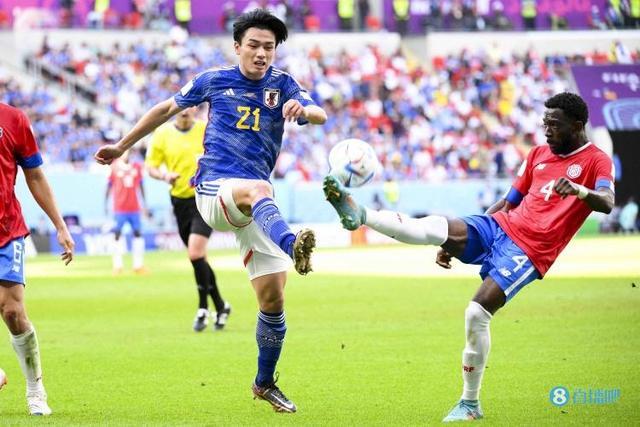 目的巴西球 目的巴西球