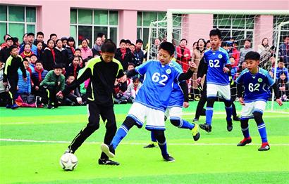 从培养路径 从培养路径